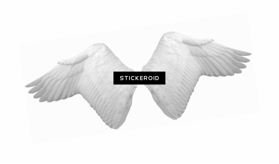 Black And White Wings Roblox Id Free Roblox Rich Girl Accounts List - black sparkling angel wings roblox