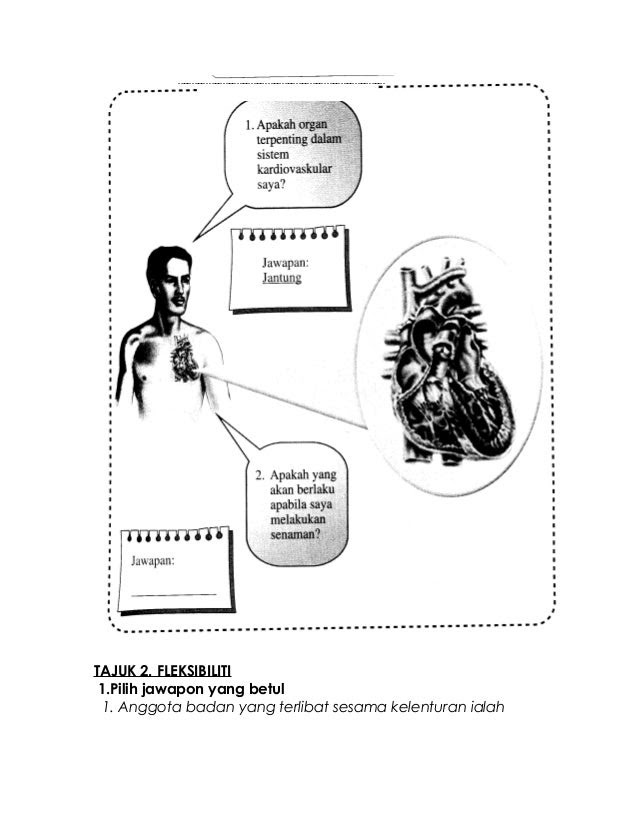 Contoh Soalan Pj Tahun 3 Kssr - Contoh 84