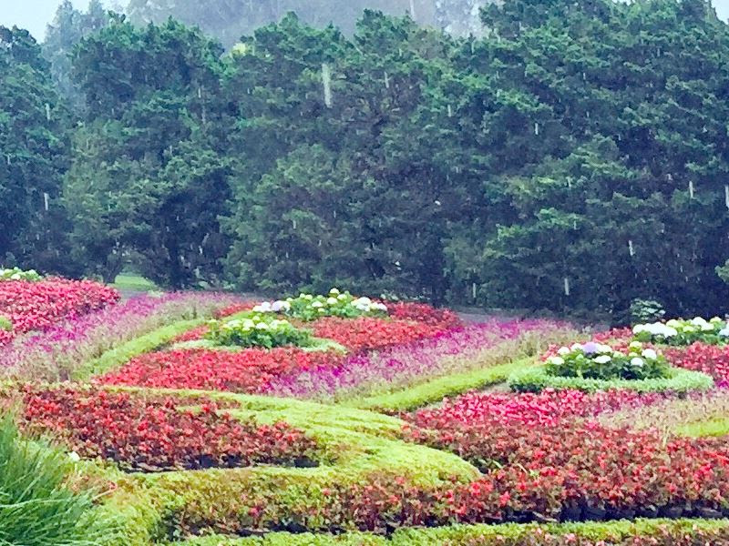 Paling Populer 27 Foto Pemandangan Taman Bunga Yang Indah 