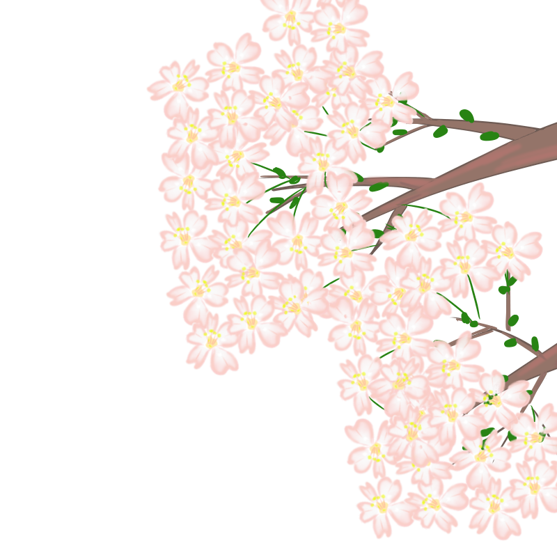 すべての動物画像 最新のhd簡単 桜 イラスト 色鉛筆