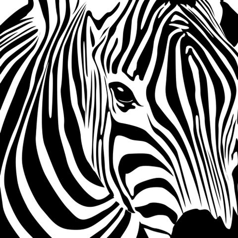 無料印刷可能かっこいい 白黒 動物 イラスト スーパーイラストコレクション