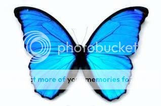 Diary seekor kupu kupu biru  Inspirasi nama Kupu kupu biru  