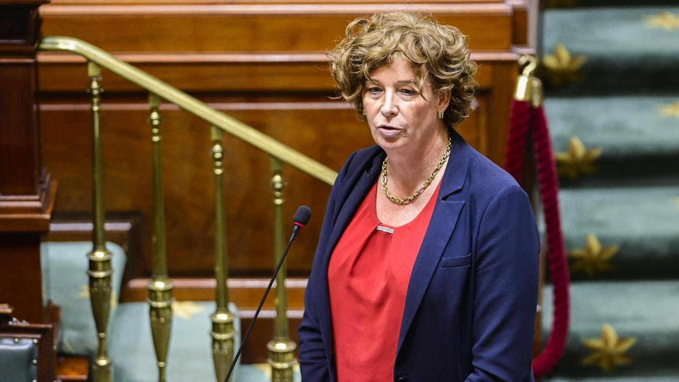 De sutter representerer det flamsktalende grønne partiet i belgia, ett av sju partier i den nye det ser de sutter positivt på. Wegen Telearbeit Minister Richten Appell An Den Offentlichen Dienst Grenzecho