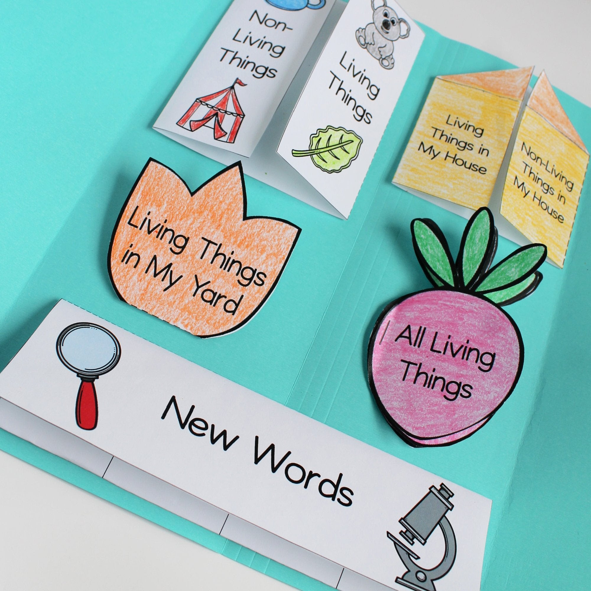 Join the popular membership section!! Editable Lapbook Templates The Tip Top Printables Shop