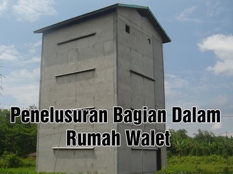 Desain Rumah Walet Arif Budiman - Desain Rumah Mesra