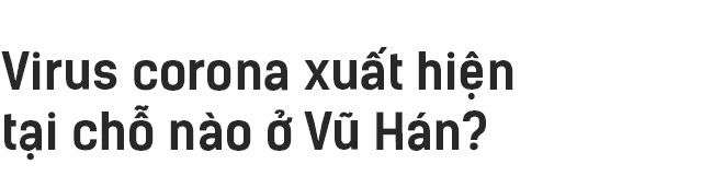 Những người tuyệt vọng ở Vũ Hán và đại dịch Corona nhìn từ đồ họa trực quan - Ảnh 27.