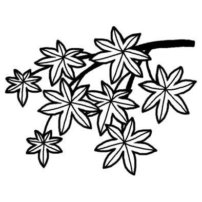これまでで最高のもみじ イラスト 白黒 美しい花の画像