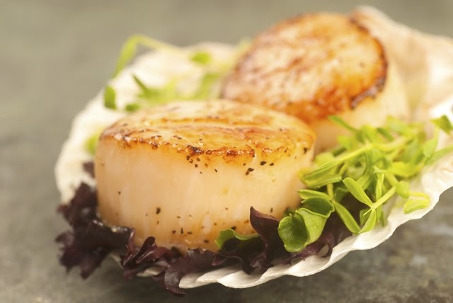 Recipe Low Calorie Small Scallops - Recipe Low Calorie ...