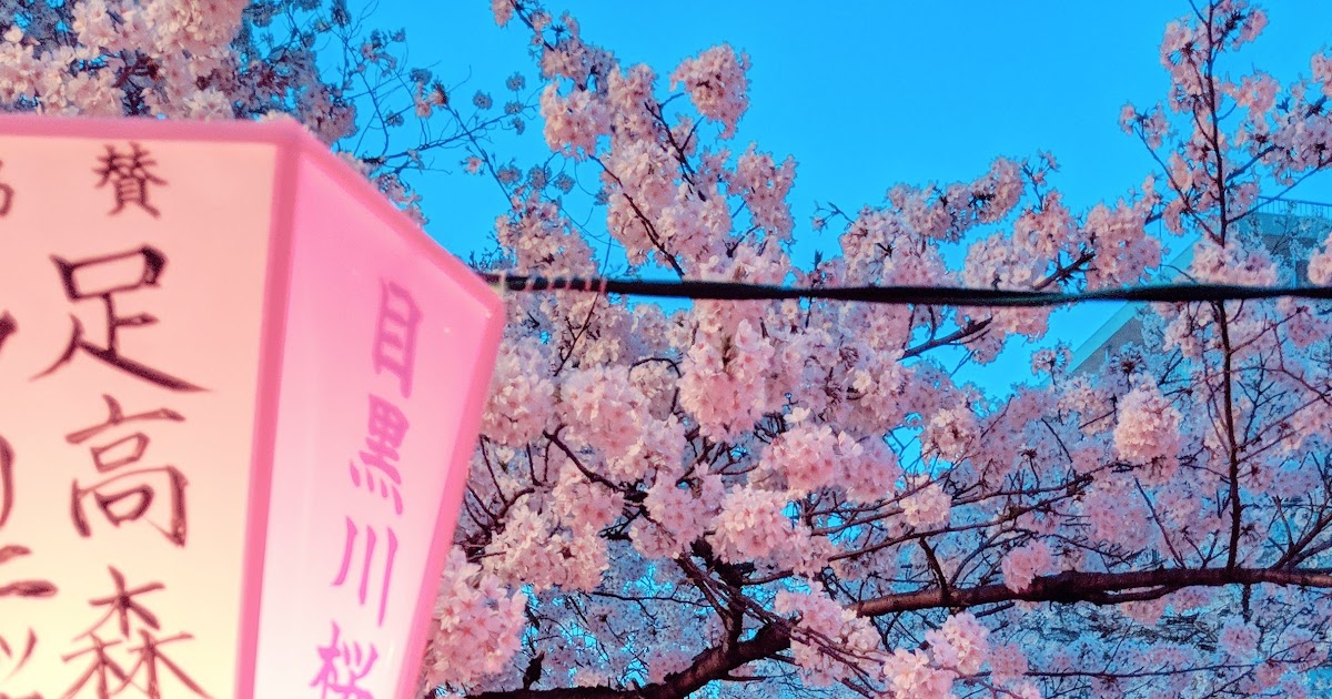 Aesthetic Background Japanese Cherry Blossom Wallpaper ...