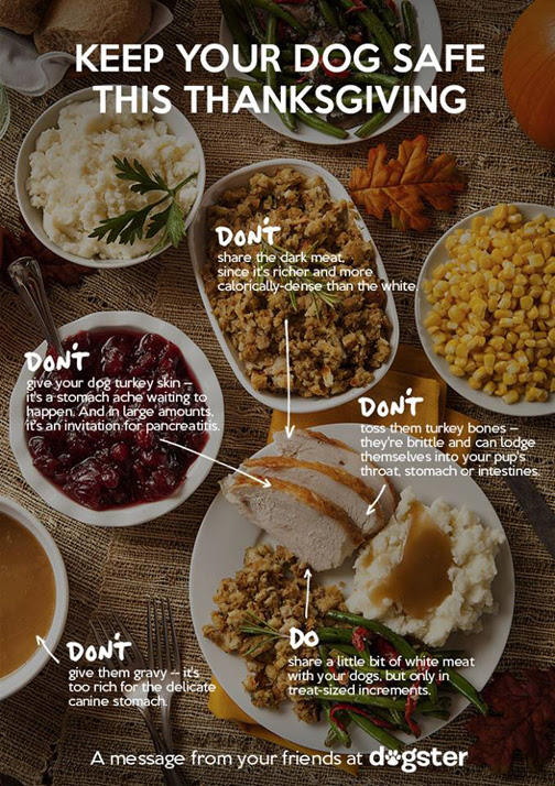 Thanksgiving foods not safe for pets. Fur Kids Foundation Pack News Blog Gillette Wyoming