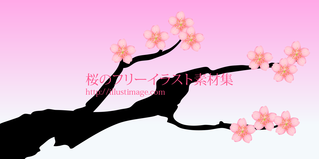 Ngagolak デザイン 桜 イラスト