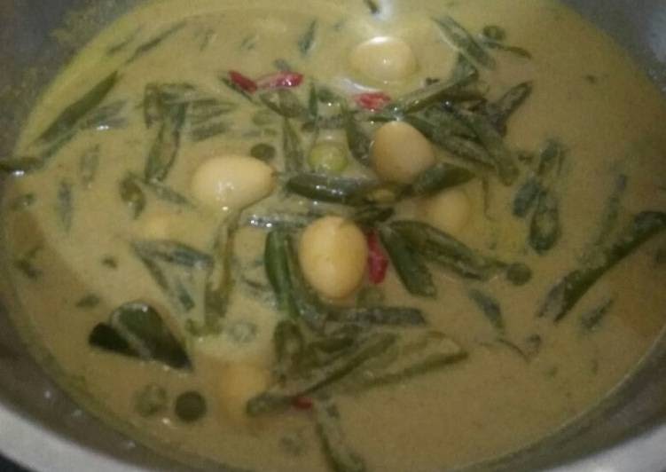 Lontong Gulai Paku Padang / Lontongminang Instagram Posts ...