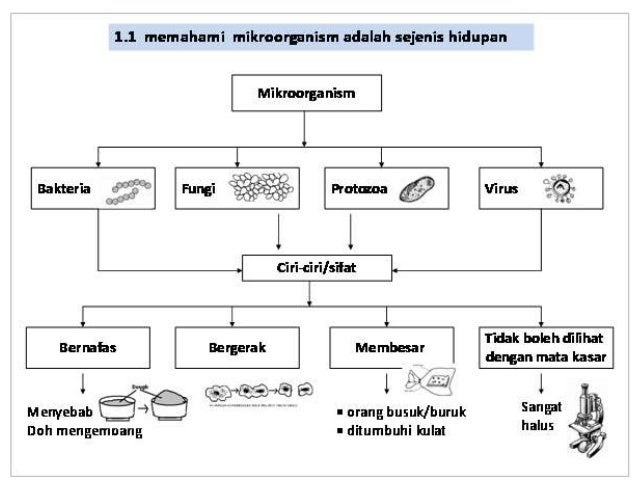 Contoh Soalan Kemahiran Proses Sains Tahun 4 - Gambarrrrrrr