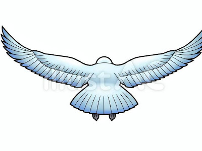 √画像をダウンロード 羽ばたく イラスト 281274-羽ばたく イラスト