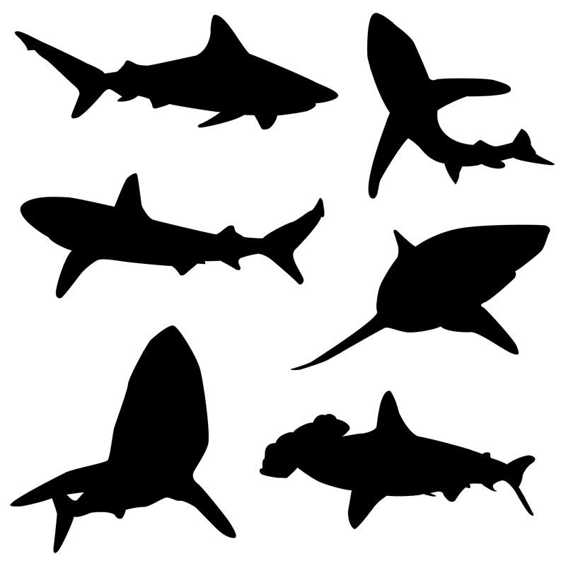 Download Free Shark Silhouette Download Free Shark Silhouette Png Images Free Cliparts On Clipart Library