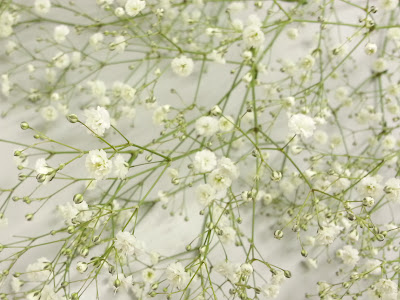 すべての美しい花の画像 待ち受け かすみ 草 花 言葉