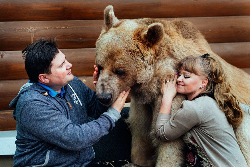 http://www.boredpanda.com/adopted-bear-russian-family-stepan/?image_id=adopted-bear-russian-family-stepan-a4.jpg