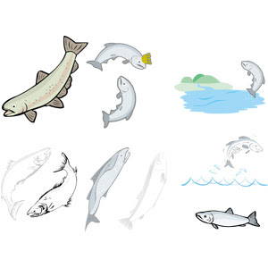 魚介 イラスト 魚介 イラストレータ