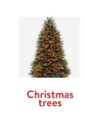 Shop for beautiful Christmas trees