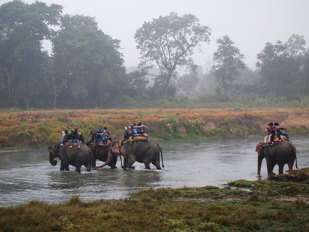 chitwan national park + elephant breeding center