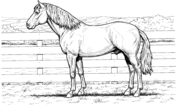 Free realistic horse coloring pages to print design and ideas. Horses Coloring Pages Free Coloring Pages