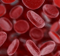 Blood cells