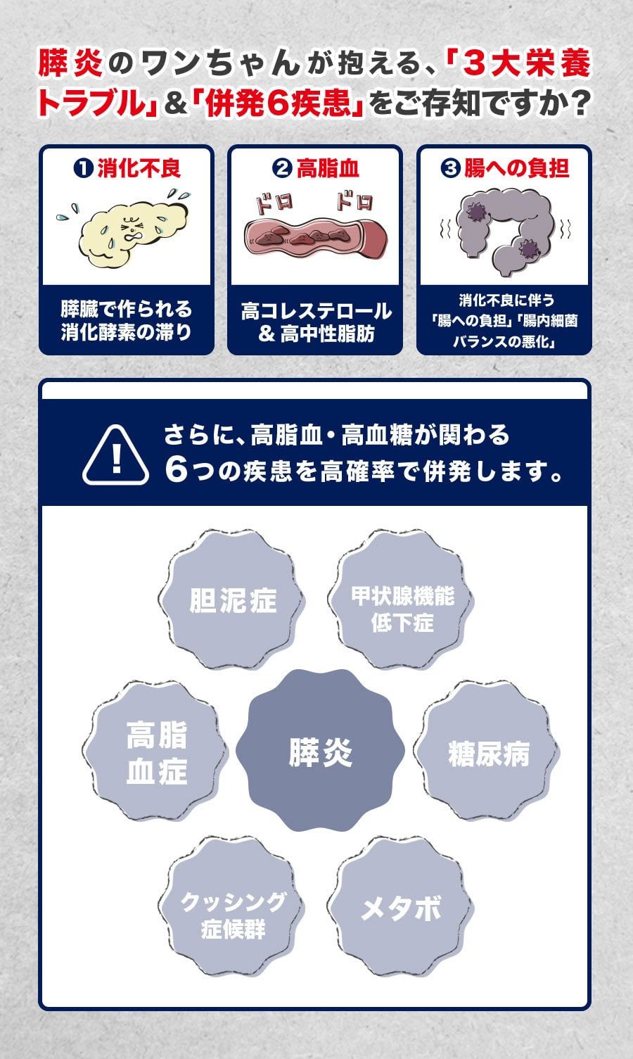 無料ダウンロード 犬 膵炎 フード おすすめ 犬 膵炎 フード おすすめ Jpblogimgwolu