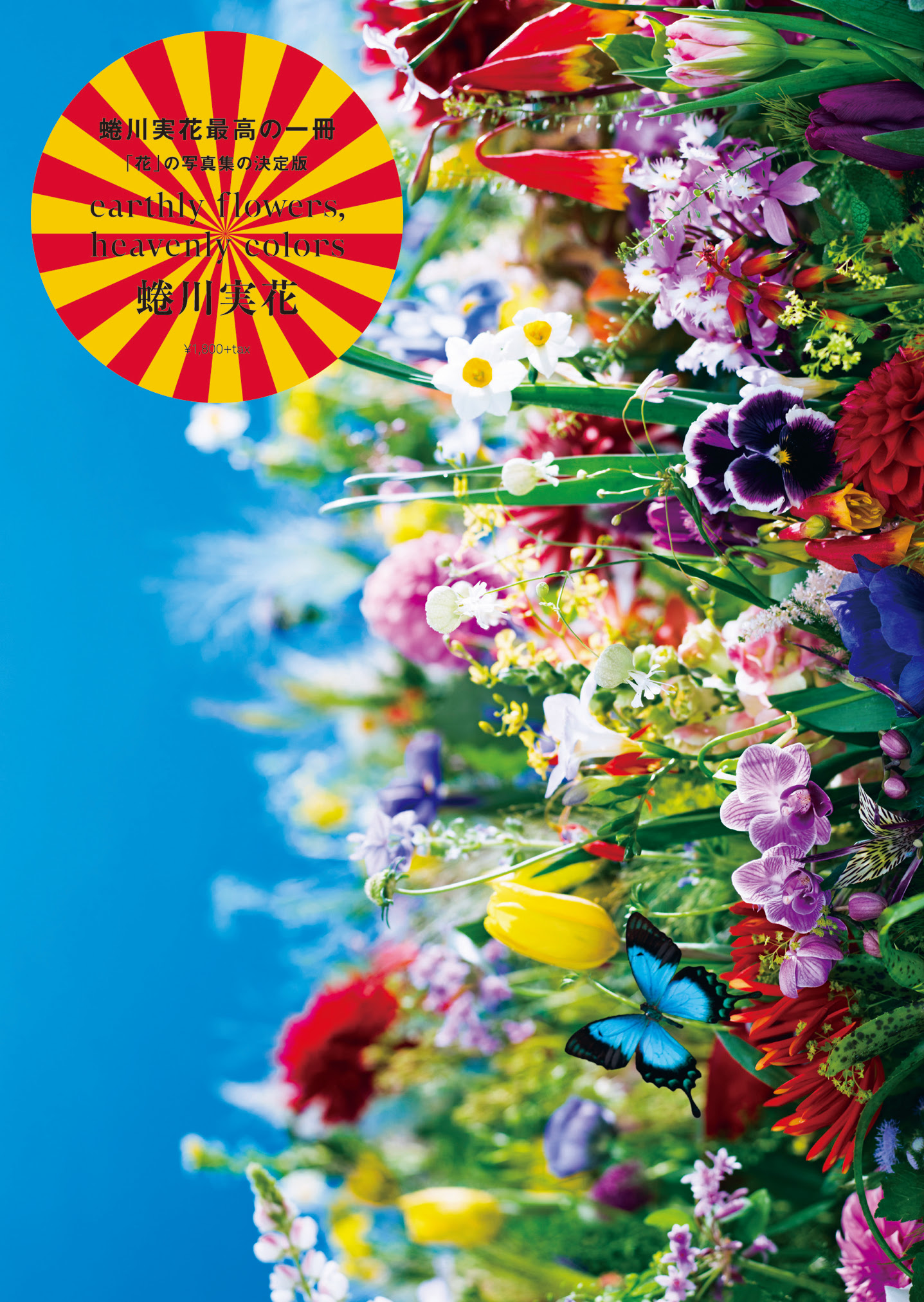 すべての美しい花の画像 ラブリー蜷川 実花 花 写真