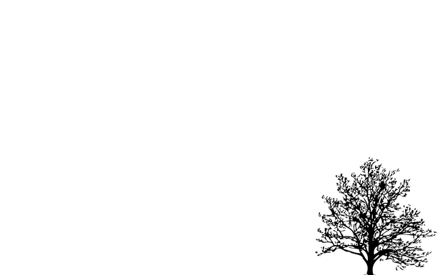 すべての美しい花の画像 最高pc 壁紙 シンプル 白