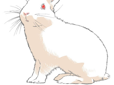 最も選択された うさぎ イラスト リアル 簡単 無料画像の宮殿 New Hdr