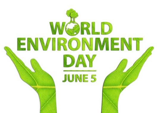We recommend celebrating world environment day every day of the year, said planeta.com founder ron mader. World Environment Day 2020 Iacact Com