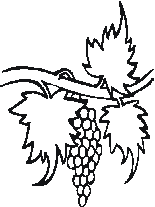 Plusieurs millers de coloriages à imprimer et à colorier sont disponibles gratuitement. Dessins De Raisin A Colorier