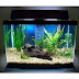 Fish Tank Price List In Bangalore