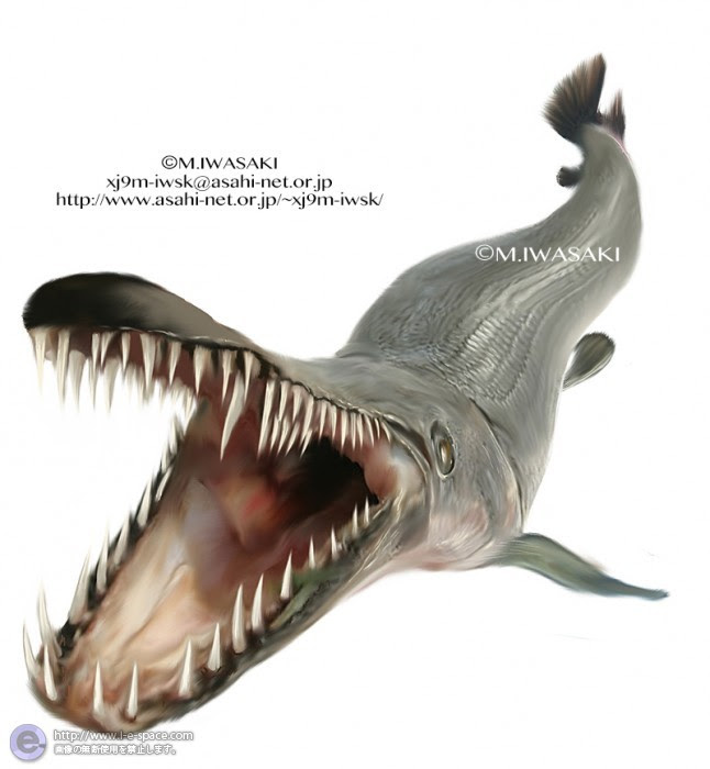 無料ダウンロード 魚 リアル イラスト 興味深い画像の多様性