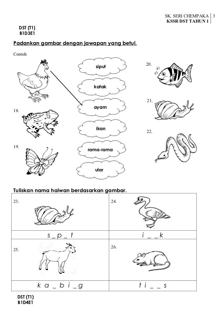 Contoh Soalan Ujian Sains Tahun 5 - Janda Bunga