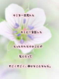 最高の壁紙hd 最新のhd 感動 する 画像 恋愛