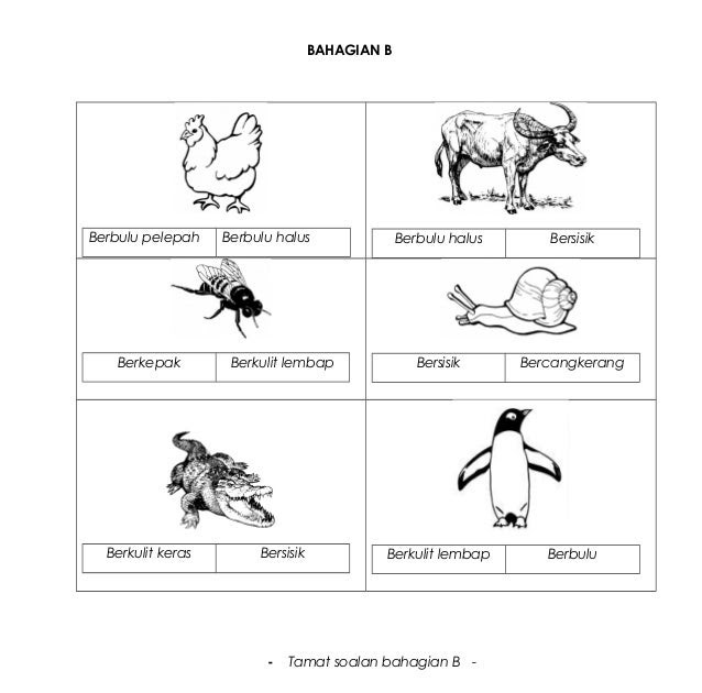 Soalan Ujian Sains Tahun 4 Kertas 2 - Kecemasan f