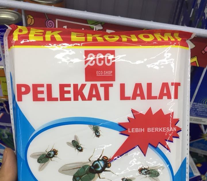 Ubat Gegat Untuk Kucing - Next Contoh