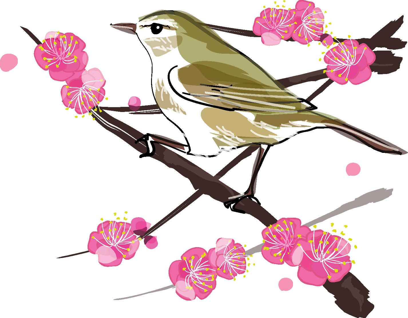 美しい花の画像 最高のかわいい 書き方 うぐいす イラスト