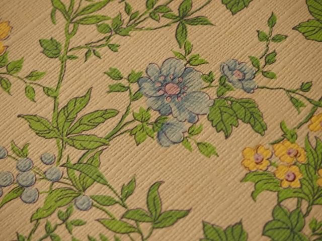 最高植物 図鑑 壁紙 最高の壁紙hd