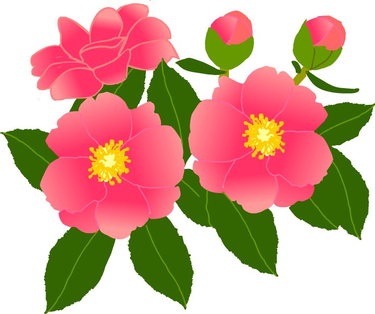 美しい花の画像 ベスト50 11月 花 イラスト