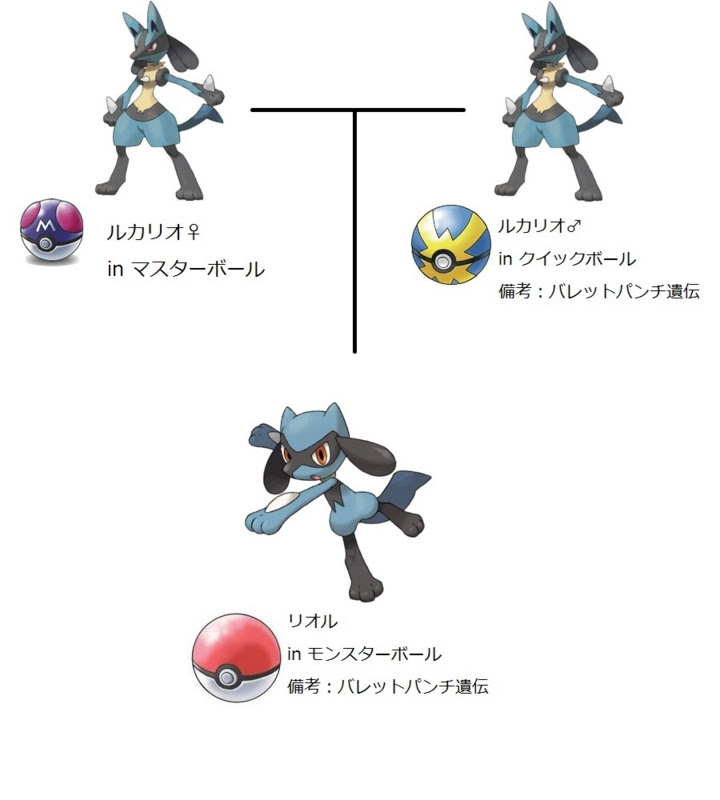 ポケモン Xy リオル