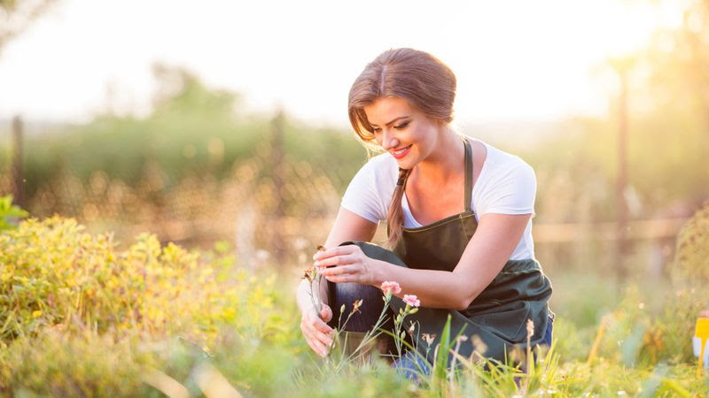 Maladie de Lyme: quand les tiques attaquent!