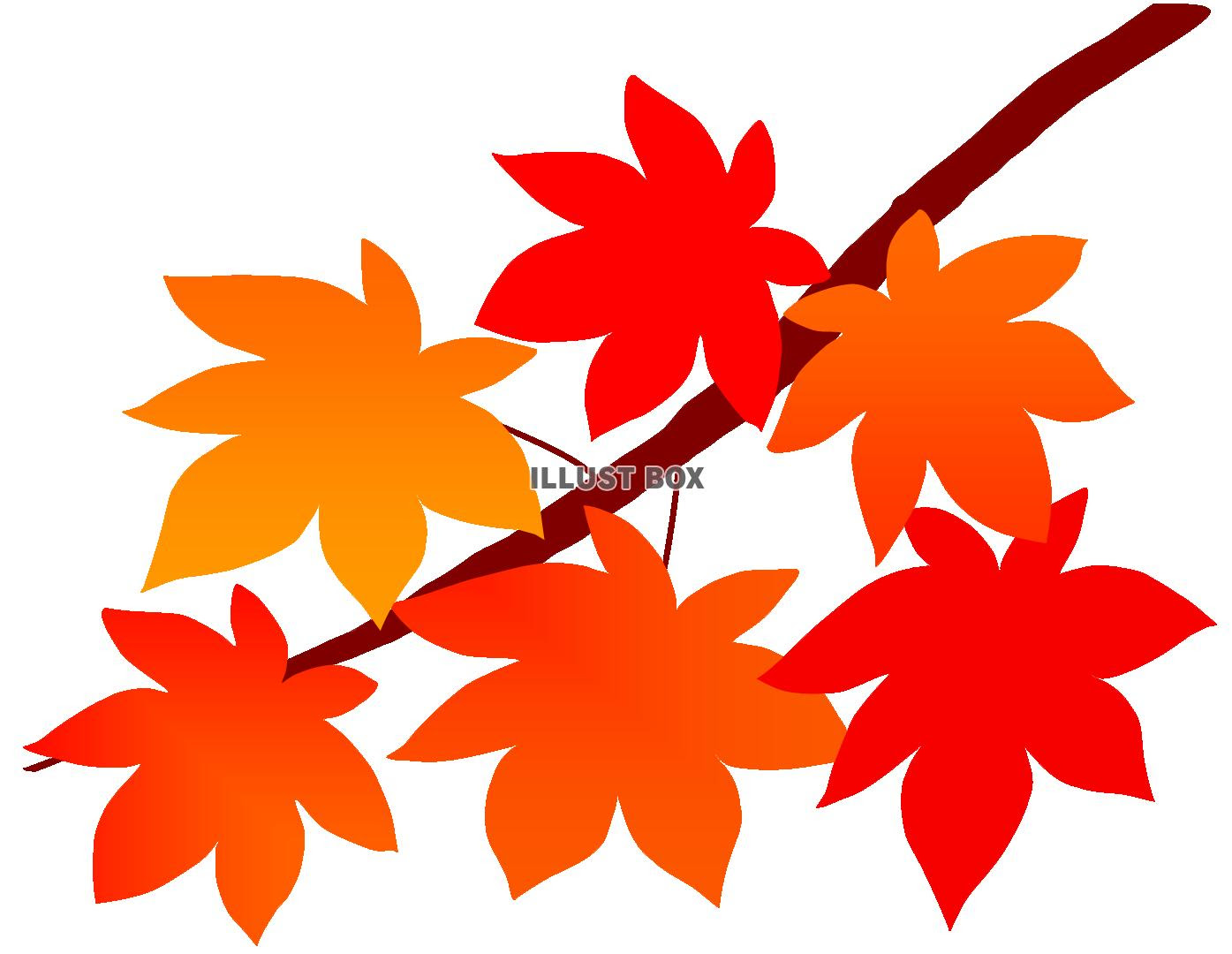 人気ダウンロード かっこいい 紅葉 イラスト 簡単 100 ベストミキシング写真 イラストレーション