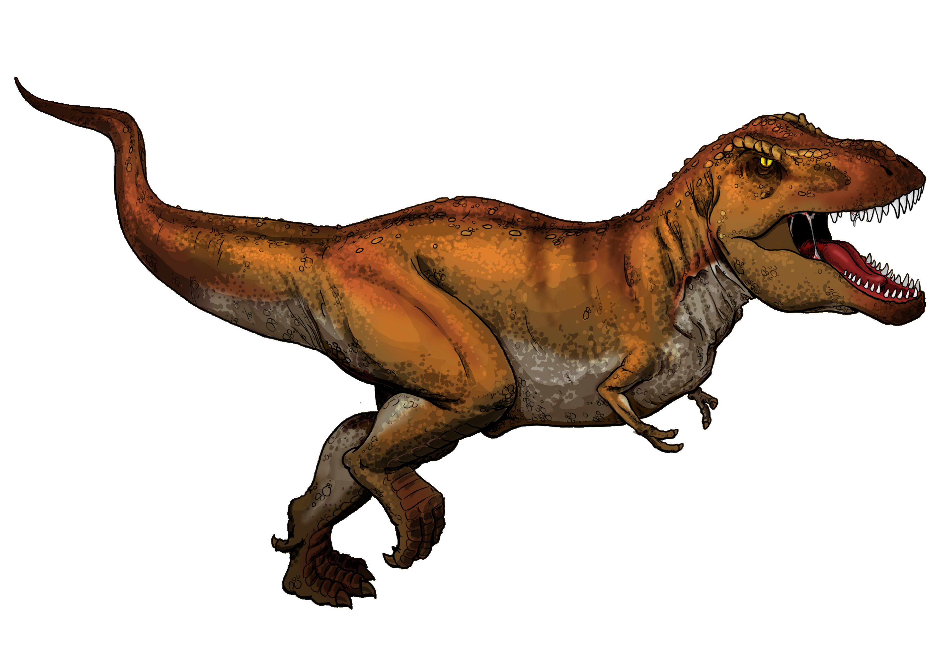 50 T Rex イラスト ガスタメゴ