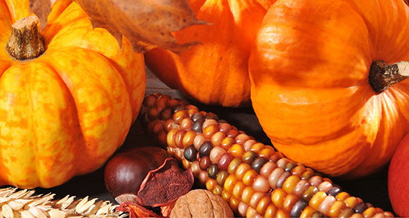 Pumpkins and corn