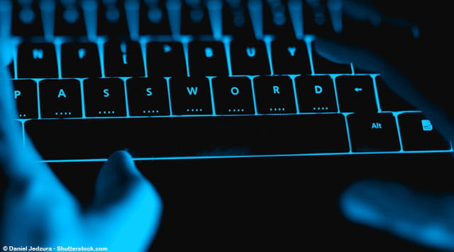 La empresa española que caza 'hackers'