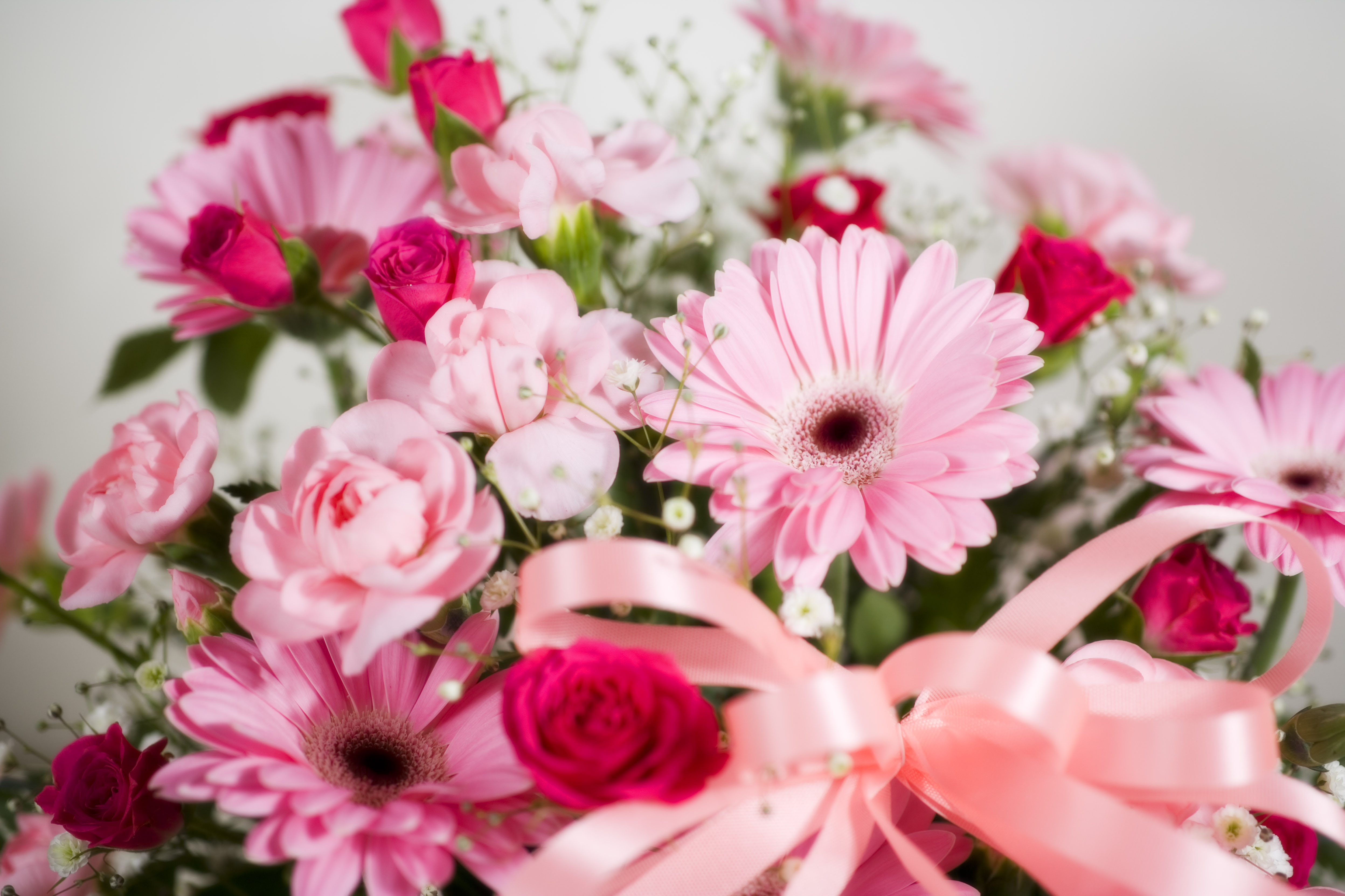 すべての花の画像 最新パソコン 壁紙 無料 花