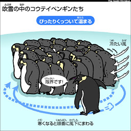 アニメ画像について ロイヤリティフリー寒い イラスト 動物