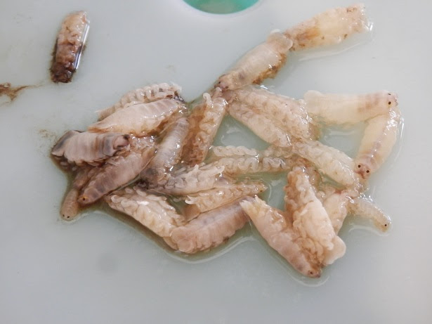驚くばかりアジ 虫 すべての魚の画像